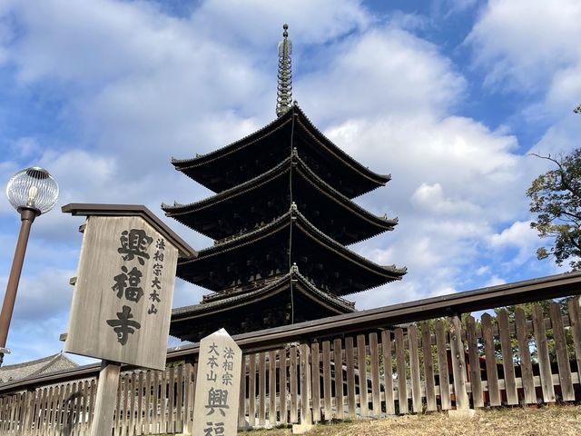 วัดโคฟุคุจิ เจดีย์ 5 ชั้น จ.นารา Kofukuji Temple