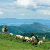 Akha Farmville เชียงราย