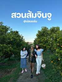 ถ่ายรูปสวยๆที่สวนส้มจินู(ม่อนแจ่ม)