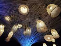 ร้าน DOK Chiang Rai ร้านอาหารใกล้สนามบิน