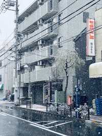 Winter in Tokyo ❄️❄️❄️