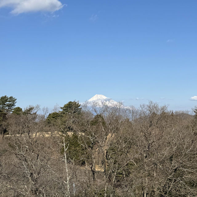 【静岡】伊豆マリオットホテル修善寺♨️宿泊レポ