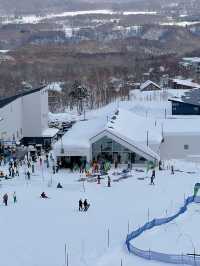 เกินคุ้มแล้ว Snow Board แบบหิมะฟู Niseko Japan