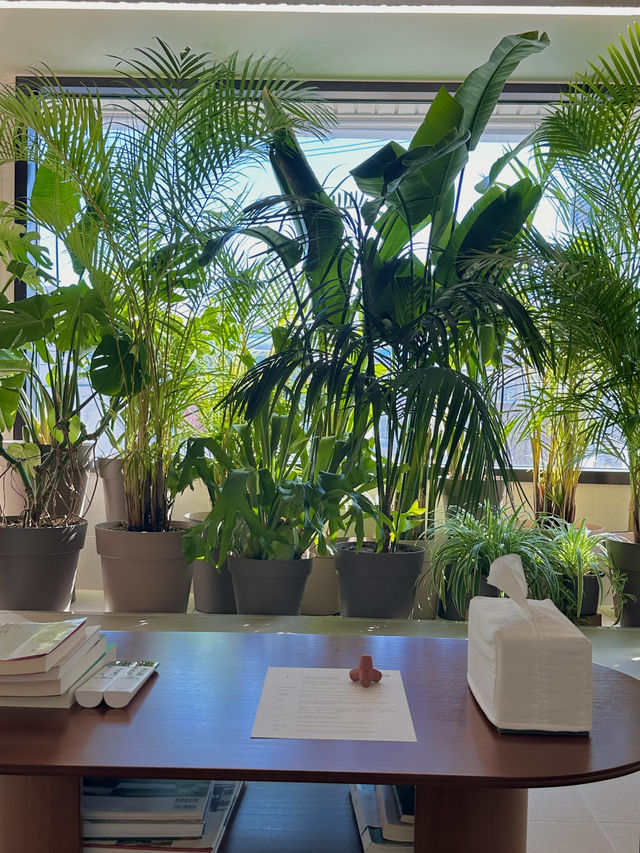 아야진 해변 근처 푸릇한 식물과 함께하는 스테이🌱🌿
