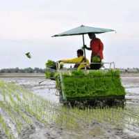 โครงการเกษตรอินทรีย์