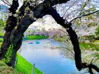 Chidorigafuchi Moat
