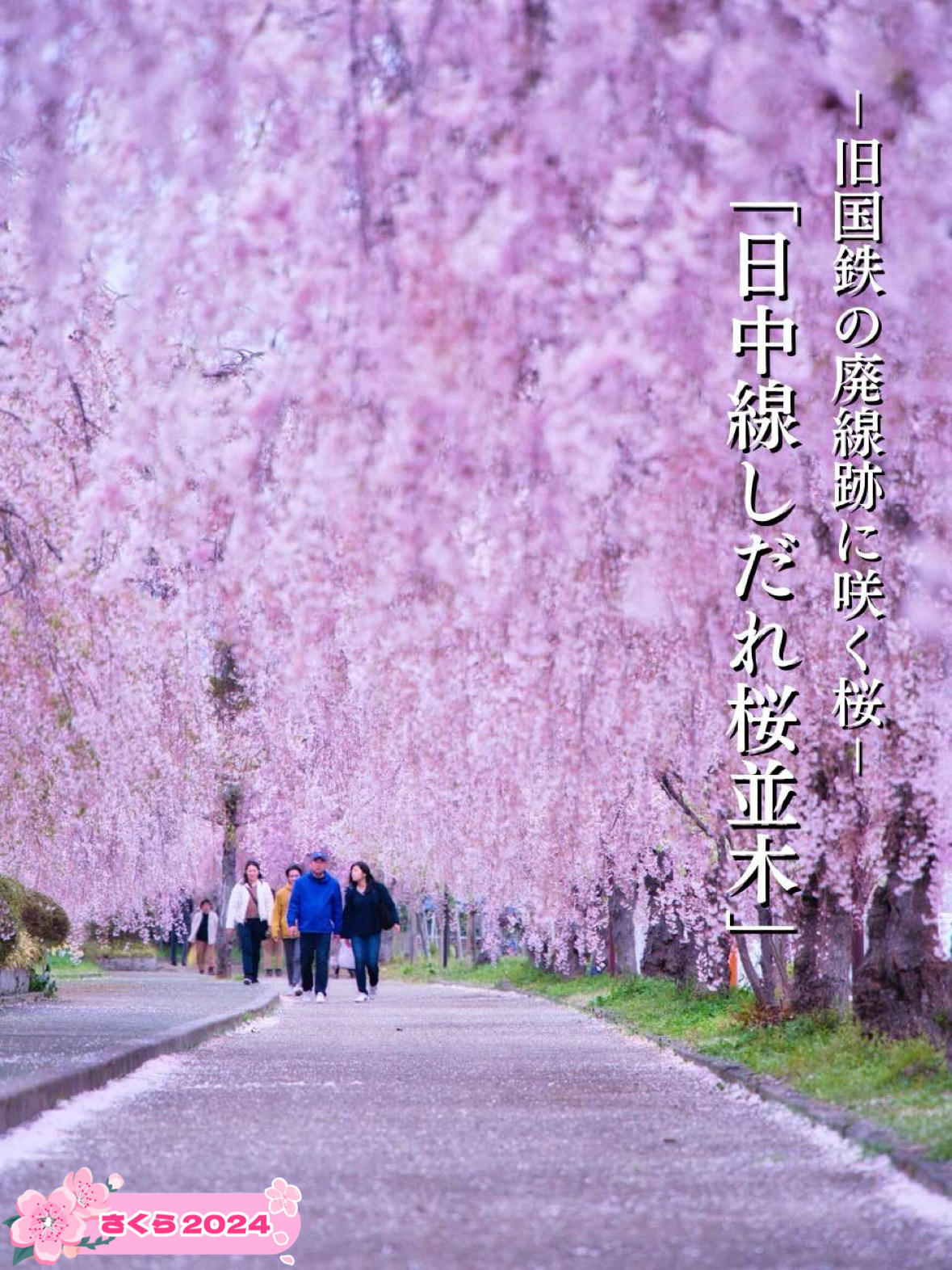 福島・桜】3kmの道のりに1000本のしだれ桜のシャワー浴びて