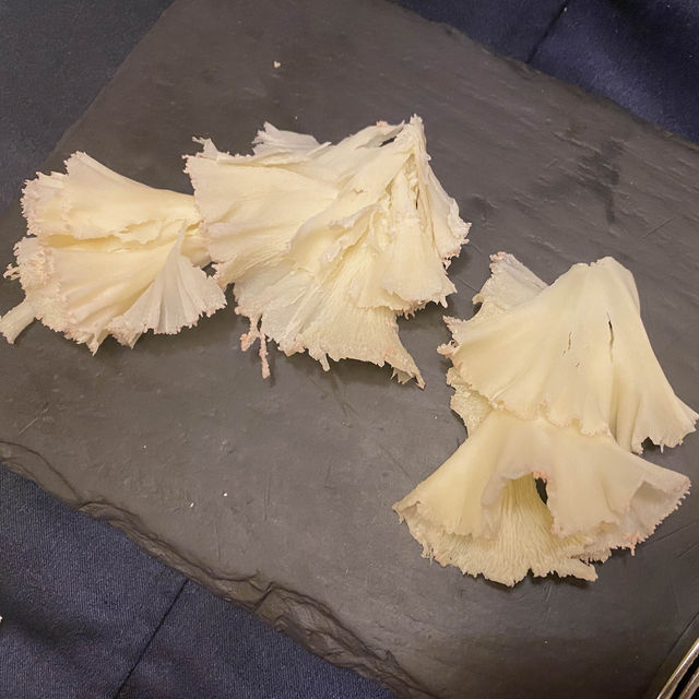 두 번 세 번 가고 싶은 대전의 데이트 코스 맛집 - 플라잉팬