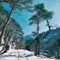 winter wonderland in south korea