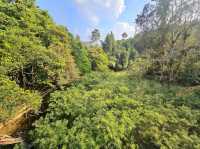 Khao Yai National Park
