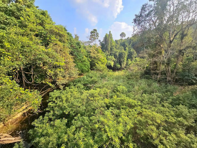 Khao Yai National Park