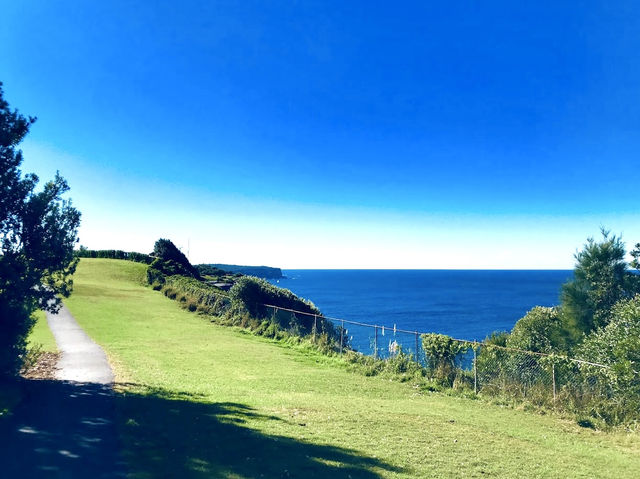 The Macquarie Lighthouse