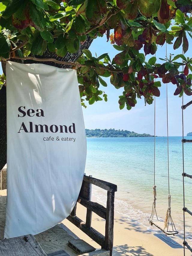 sea almond 