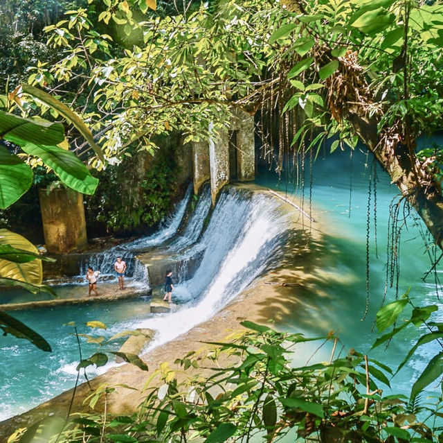 Unleash the Thrills: Explore Cebu's Breathtaking Canyons! 🌴🌼