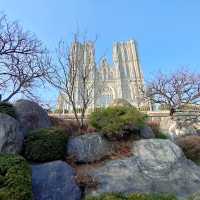 🌸「首爾慶熙大學春季賞櫻，絕佳時機感受韓國校園文化。」