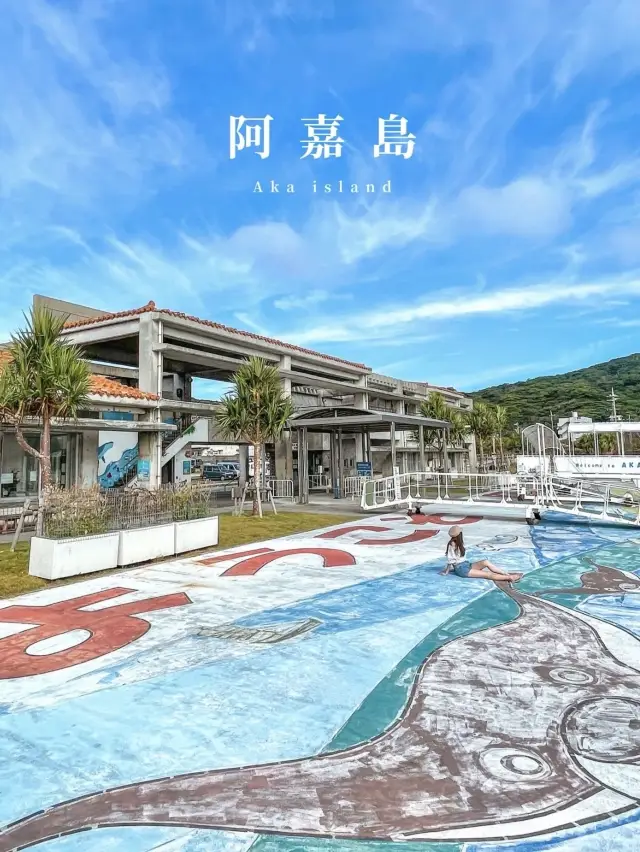 【沖縄・阿嘉島】沖縄本島から日帰りで行けるおすすめ離島