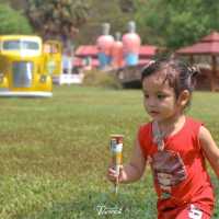 ฟาร์มแกะเพชรบุรี ที่ไม่ได้มีแค่แกะ เดินเพลินมาก