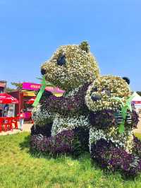 Korea Flower Park
