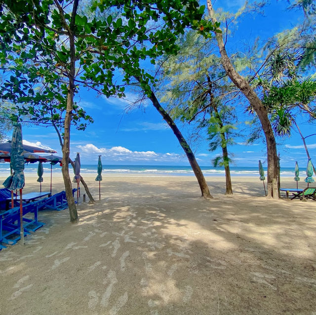 Discover Rayong's paradise beaches! 🏖️🍤🌳