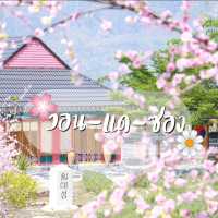 พาเที่ยวเกาหลี ณ  วอน-แด-ซอง