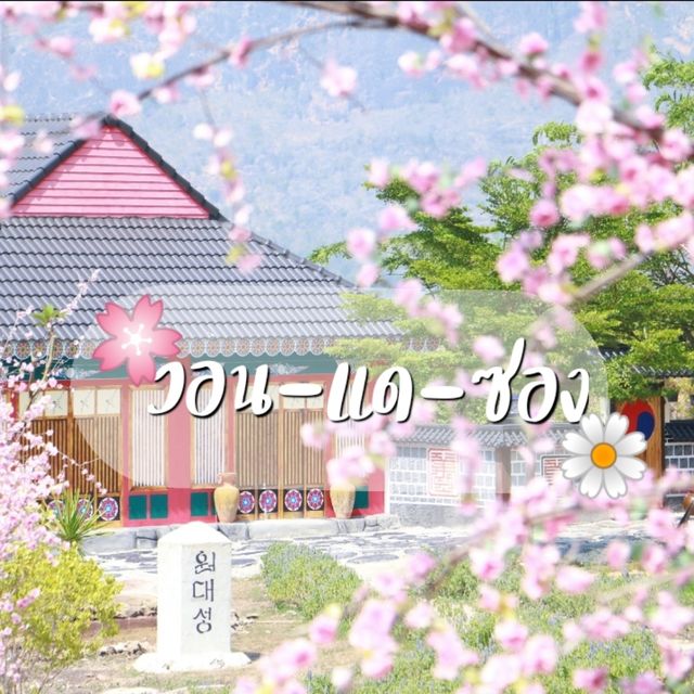 พาเที่ยวเกาหลี ณ  วอน-แด-ซอง