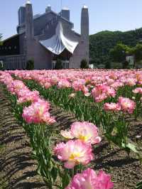 Kamiyubetsu Tulip Park