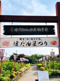 【箭弓稲荷神社/埼玉県】格式ある神社のぼたん園