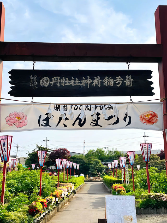 【箭弓稲荷神社/埼玉県】格式ある神社のぼたん園