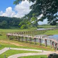 อุทยานแห่งชาติแม่ปืม- Mae Puem National Park
