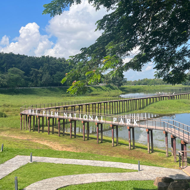 อุทยานแห่งชาติแม่ปืม- Mae Puem National Park