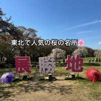 【岩手】東北で人気の桜の名所🌸