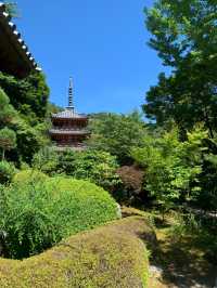 京都　360度あじさいビューのお寺