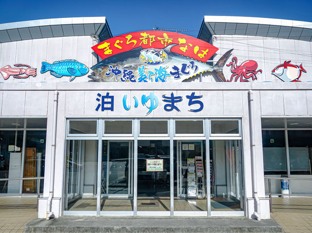 【泊港漁市場】新鮮海鮮刺身，適合一人享用