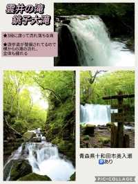 【青森】春は新緑の奥入瀬へ・・ONE DAYプラン