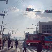 부산 해운대블루라인파크! 바다보며 열차타기!!