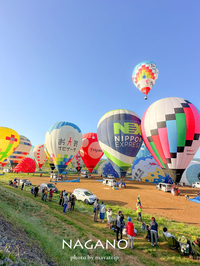 【長野/佐久】県下最大級の熱気球大会🎈一斉に飛ぶ瞬間は感動！
