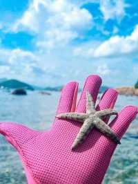 探索香港的海底秘境：綠蛋島浮潛之旅