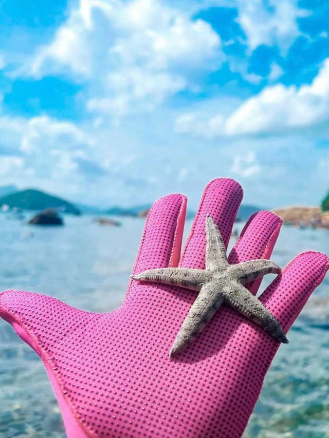 探索香港的海底秘境：綠蛋島浮潛之旅