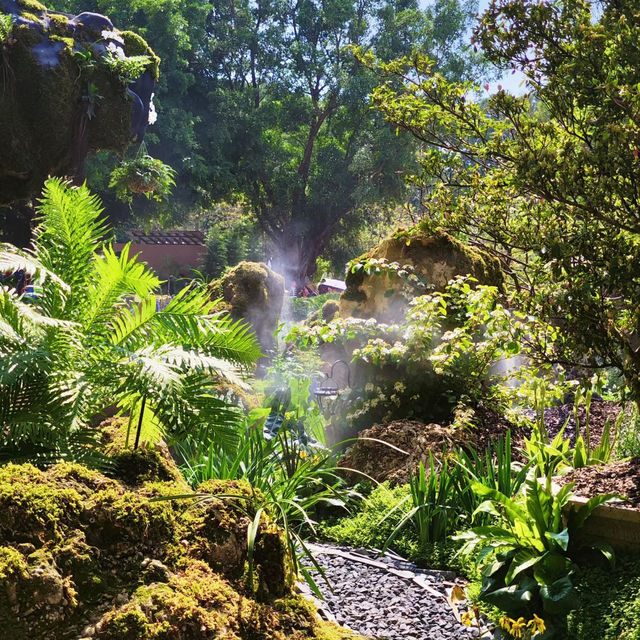 【臺北景點】維多花園：穿越時光的休憩場所