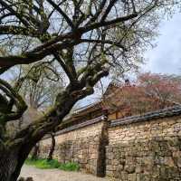 Spiritual Seonamsa, scenic serenity in Suncheon