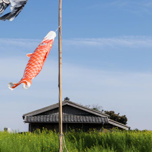 【橫間海岸】自然寶島，春天好去處！