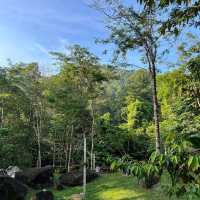 Draco Nature Camp