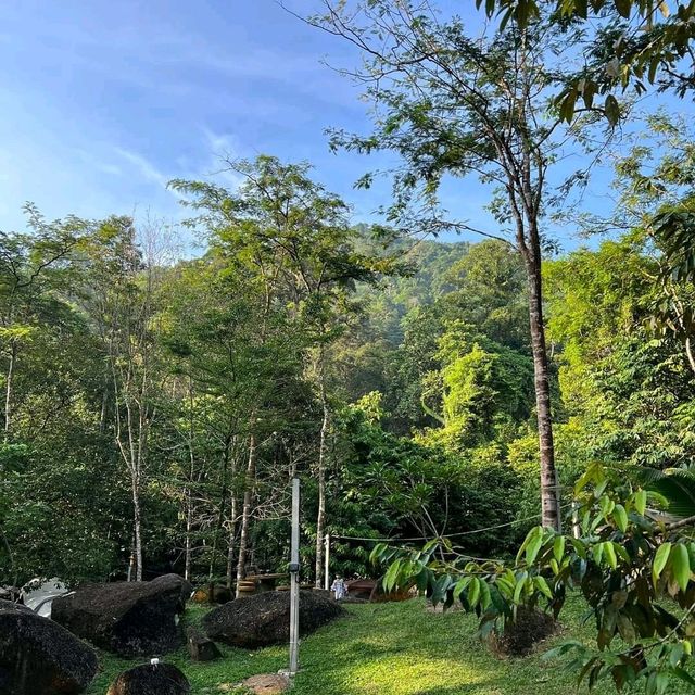 Draco Nature Camp