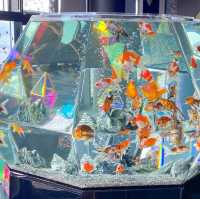 【香川】天空127mの空の金魚アート水族館