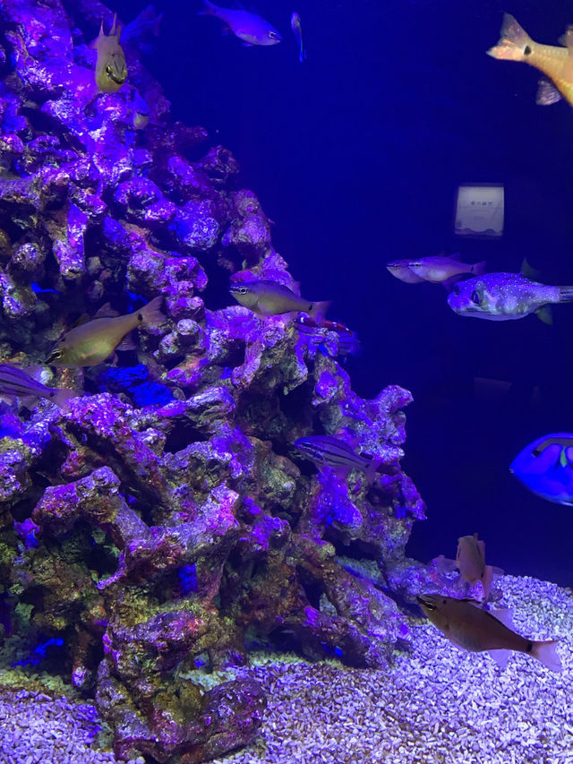 香川　日帰り旅行にオススメ！水族館