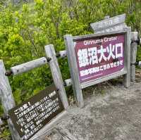 Volcano Views: Nature's Resilience Unveiled