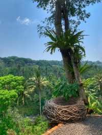 This is a MUST-DO when in Bali💜SAVE THIS😍
