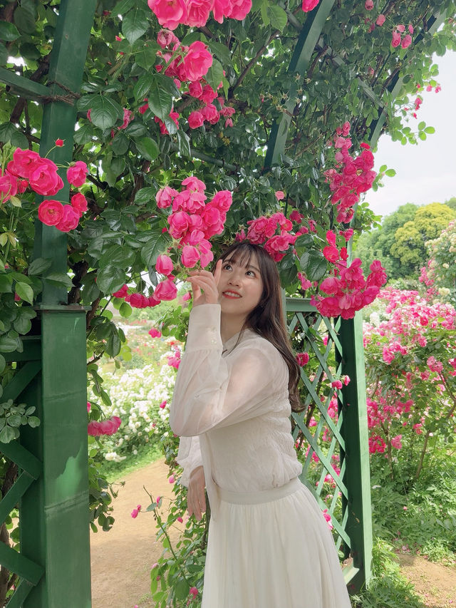 バラ園でプリンセス気分👸🏼🌹【千葉】