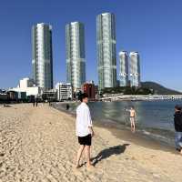 한국의 나폴리 부산 송도 해변🌊