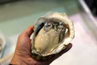 Kanazawa - Cultural place with fresh seafood
